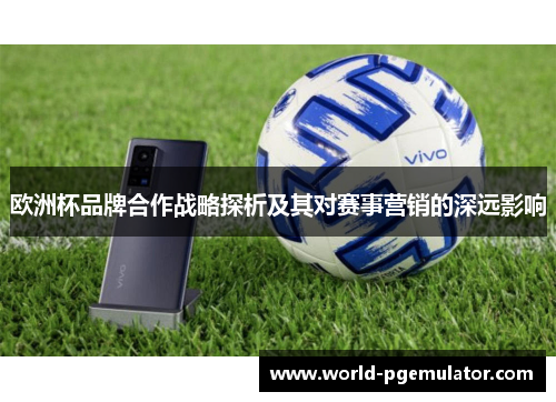 欧洲杯品牌合作战略探析及其对赛事营销的深远影响 欧洲杯品牌合作战略探析及其对赛事营销的深远影响