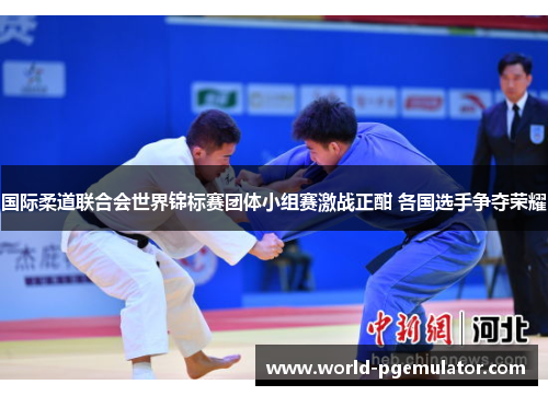 国际柔道联合会世界锦标赛团体小组赛激战正酣 各国选手争夺荣耀 国际柔道联合会世界锦标赛团体小组赛激战正酣 各国选手争夺荣耀