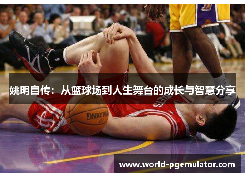 姚明自传:从篮球场到人生舞台的成长与智慧分享 姚明自传:从篮球场到人生舞台的成长与智慧分享