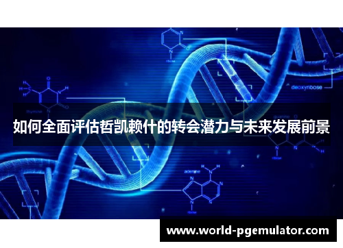 如何全面评估哲凯赖什的转会潜力与未来发展前景 如何全面评估哲凯赖什的转会潜力与未来发展前景