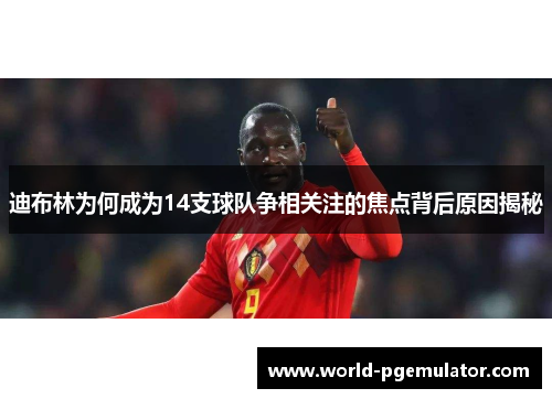 迪布林为何成为14支球队争相关注的焦点背后原因揭秘 迪布林为何成为14支球队争相关注的焦点背后原因揭秘