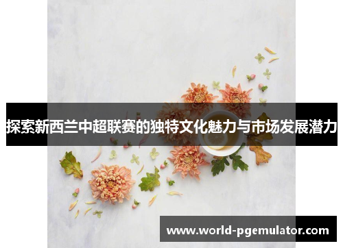 探索新西兰中超联赛的独特文化魅力与市场发展潜力 探索新西兰中超联赛的独特文化魅力与市场发展潜力