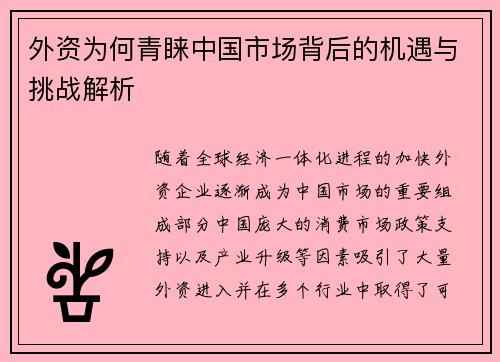 外资为何青睐中国市场背后的机遇与挑战解析 外资为何青睐中国市场背后的机遇与挑战解析