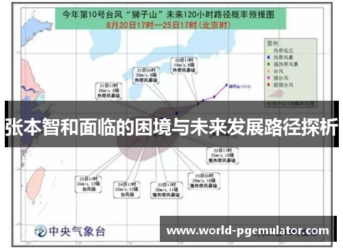 张本智和面临的困境与未来发展路径探析