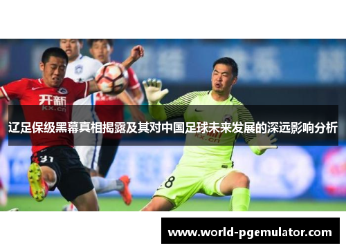 辽足保级黑幕真相揭露及其对中国足球未来发展的深远影响分析