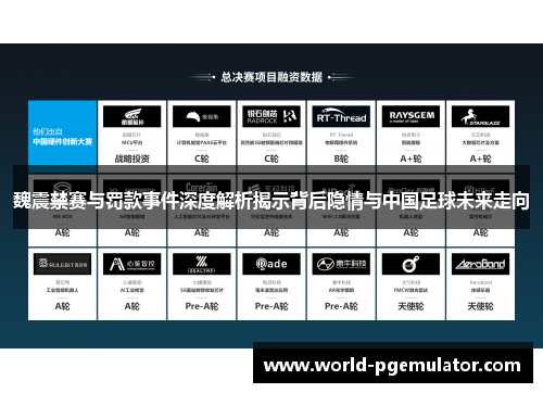魏震禁赛与罚款事件深度解析揭示背后隐情与中国足球未来走向