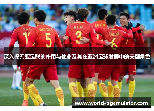 深入探索亚足联的作用与使命及其在亚洲足球发展中的关键角色
