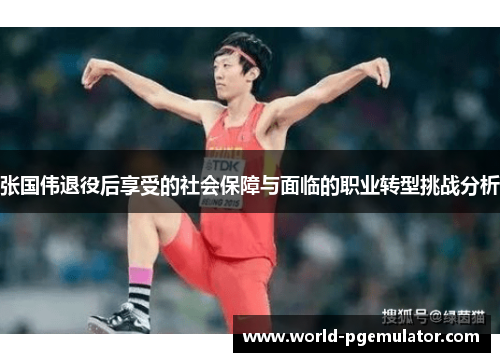 张国伟退役后享受的社会保障与面临的职业转型挑战分析