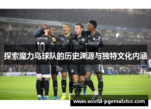探索魔力鸟球队的历史渊源与独特文化内涵