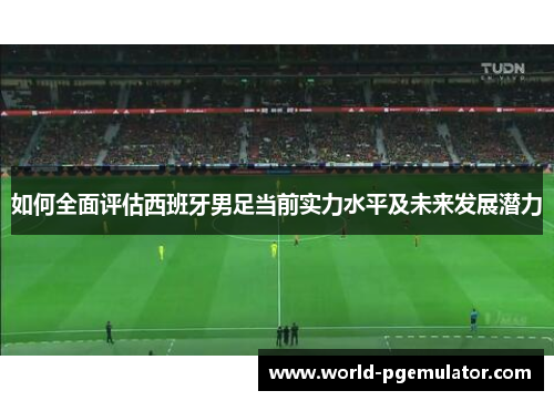 如何全面评估西班牙男足当前实力水平及未来发展潜力