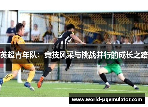 英超青年队：竞技风采与挑战并行的成长之路