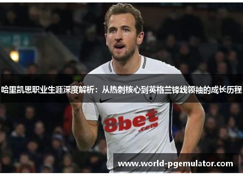 哈里凯恩职业生涯深度解析：从热刺核心到英格兰锋线领袖的成长历程